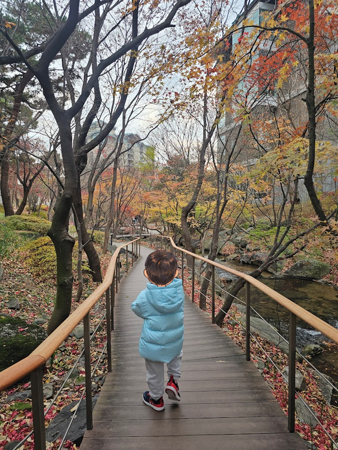 2025년 11월 22일(토) 생태하천