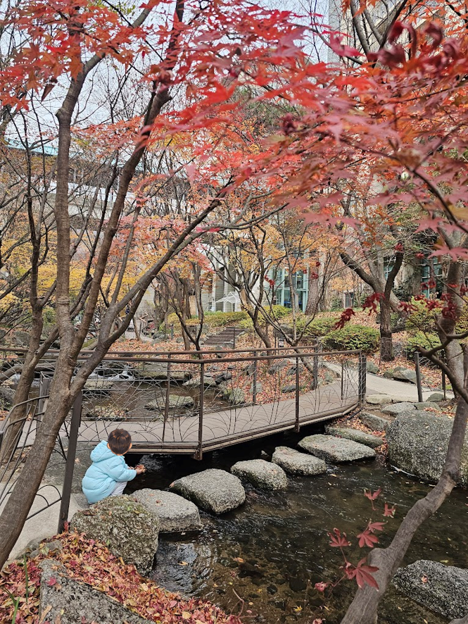 2025년 11월 22일(토) 생태하천