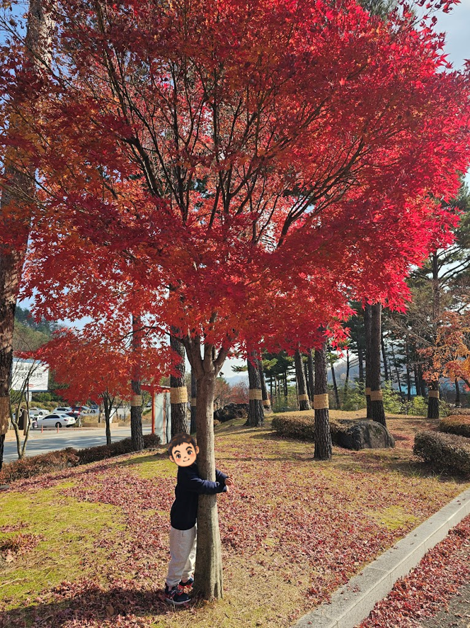 2025년 11월 22일(토) L빌리지 주변