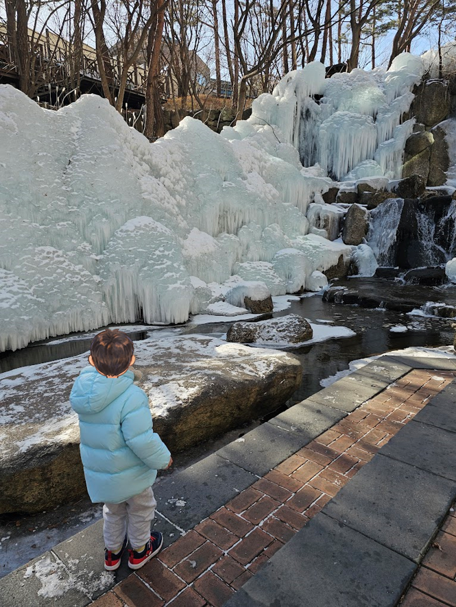 2026년 1월 25일(일) 생태하천