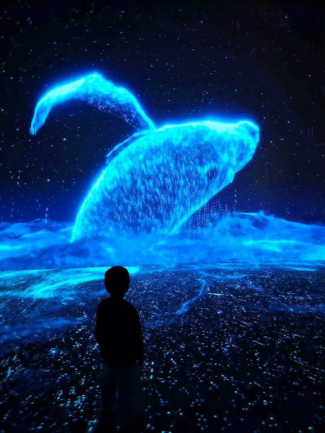 아르떼뮤지엄 강릉