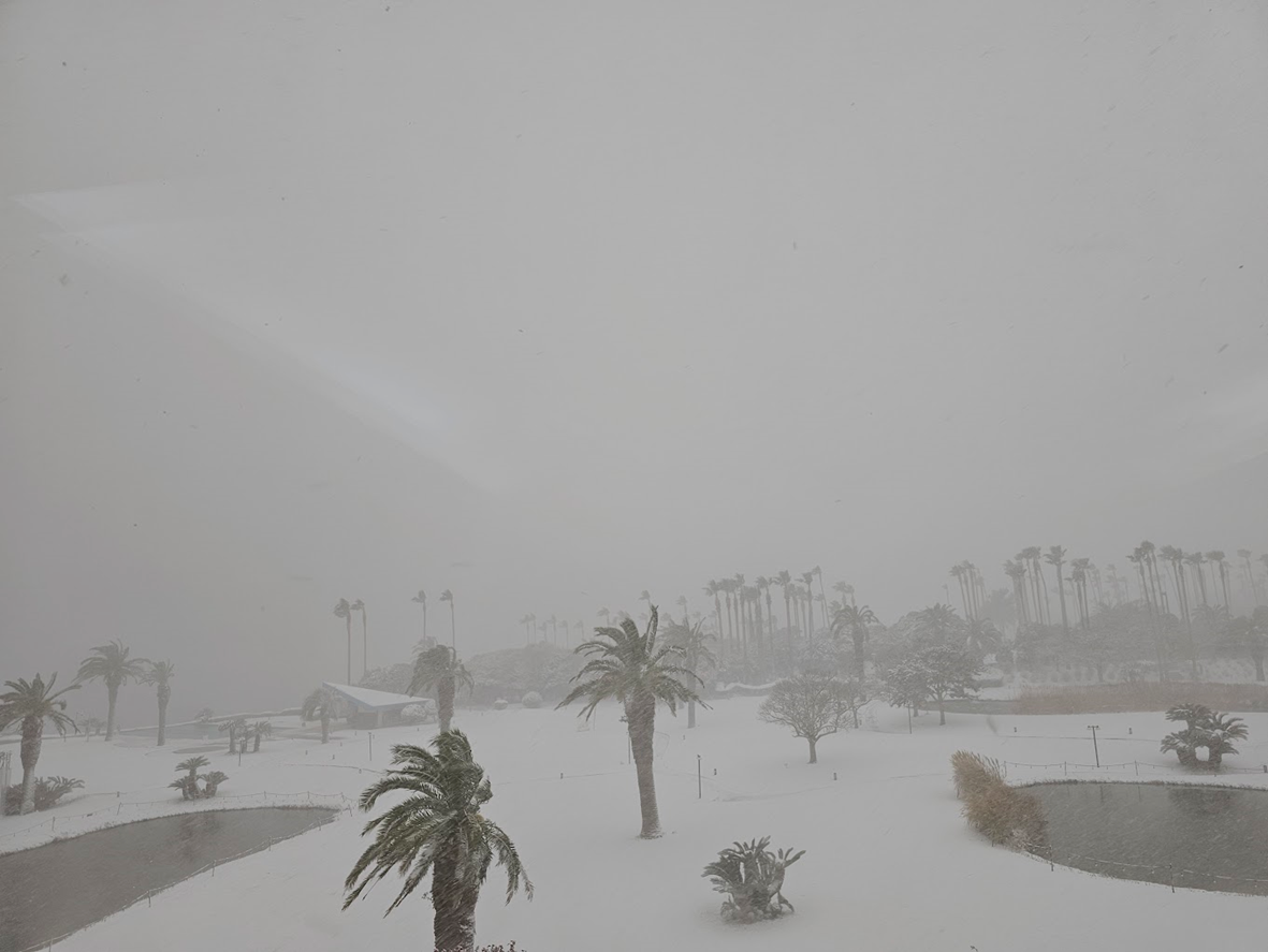 Featured image of post 제주도가 아닌 도쿄로 연말 여행을 떠나게 된 이유