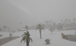 Featured image of post 제주도가 아닌 도쿄로 연말 여행을 떠나게 된 이유